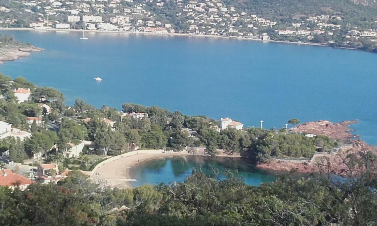 Appartement Vue Mer Piscines Parking Les Coraux Agay Plage Saint-Raphaël Kültér fotó